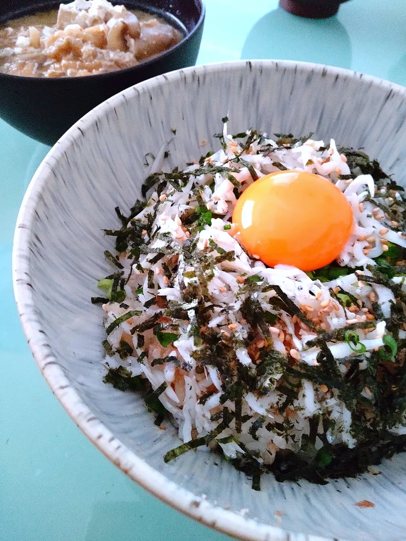 釜揚げシラス丼❗|かずにゃさん