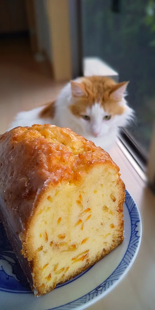 オレンジのパウンドケーキ🍊いい香り🎶|さくらんぼさん