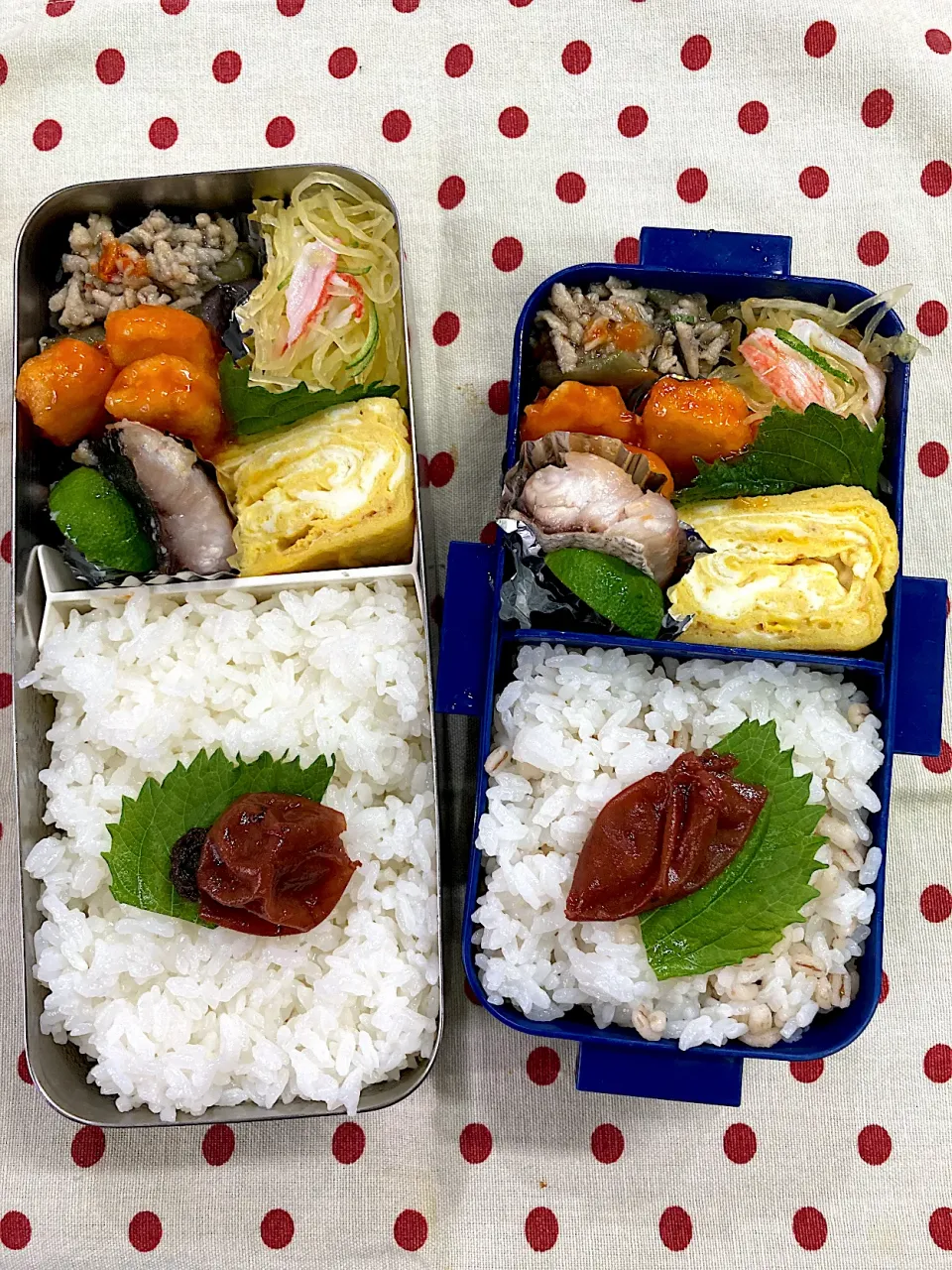 Snapdishの料理写真:9月13日　週の始まり弁当🍱|sakuramochiさん