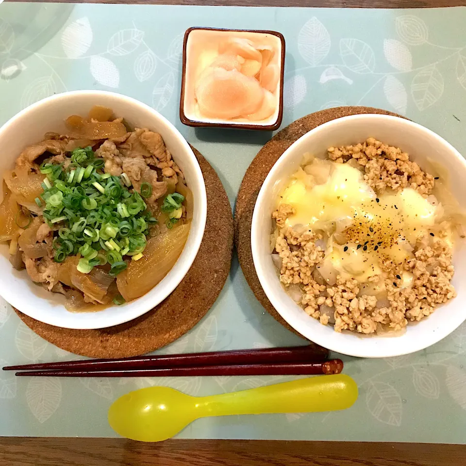 豚丼と鳥そぼろ丼|SERINOさん