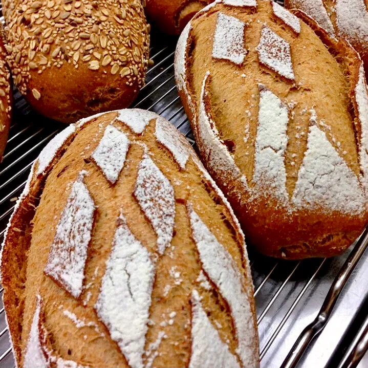 Pain de campagne aux tomates🍅|ばくあんしゃさん