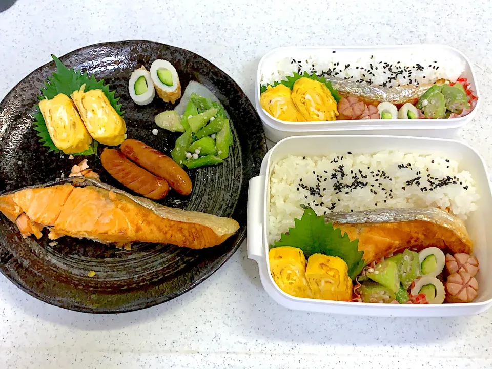 9月16日お弁当🍱|もぐぷーさん