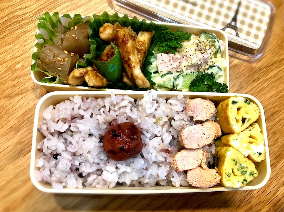 サラ弁　　　　　　　　　　　　　　　　　　　蒟蒻炒めのおかか和え　豚ロースとピーマンのニンニクだれ炒め　ポテトサラダ　卵焼き　焼き辛子明太子|じゅんさんさん