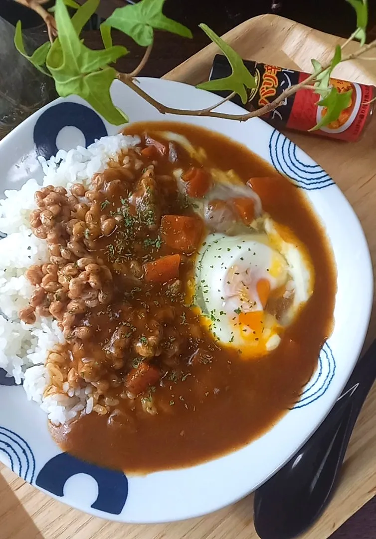 納豆ｶﾚｰ|まりおさん