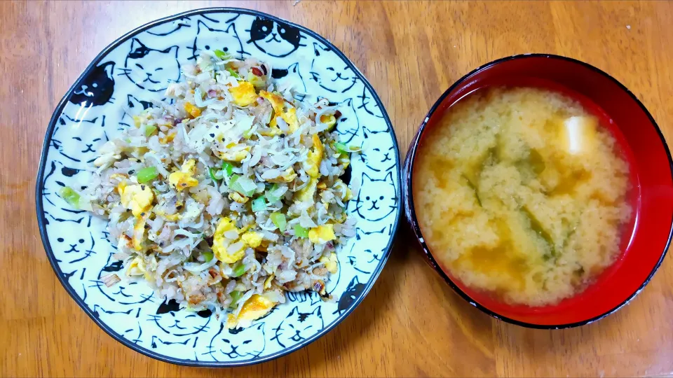 ９月１２日　しらすの焼き飯　豆腐とわかめのお味噌汁|いもこ。さん