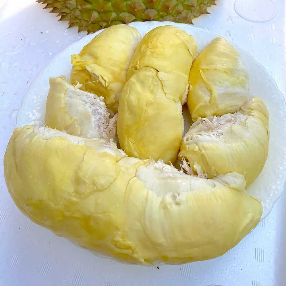 Freshly Durian 😋😋😋|ソーニ( ◠‿◠ )ママさん