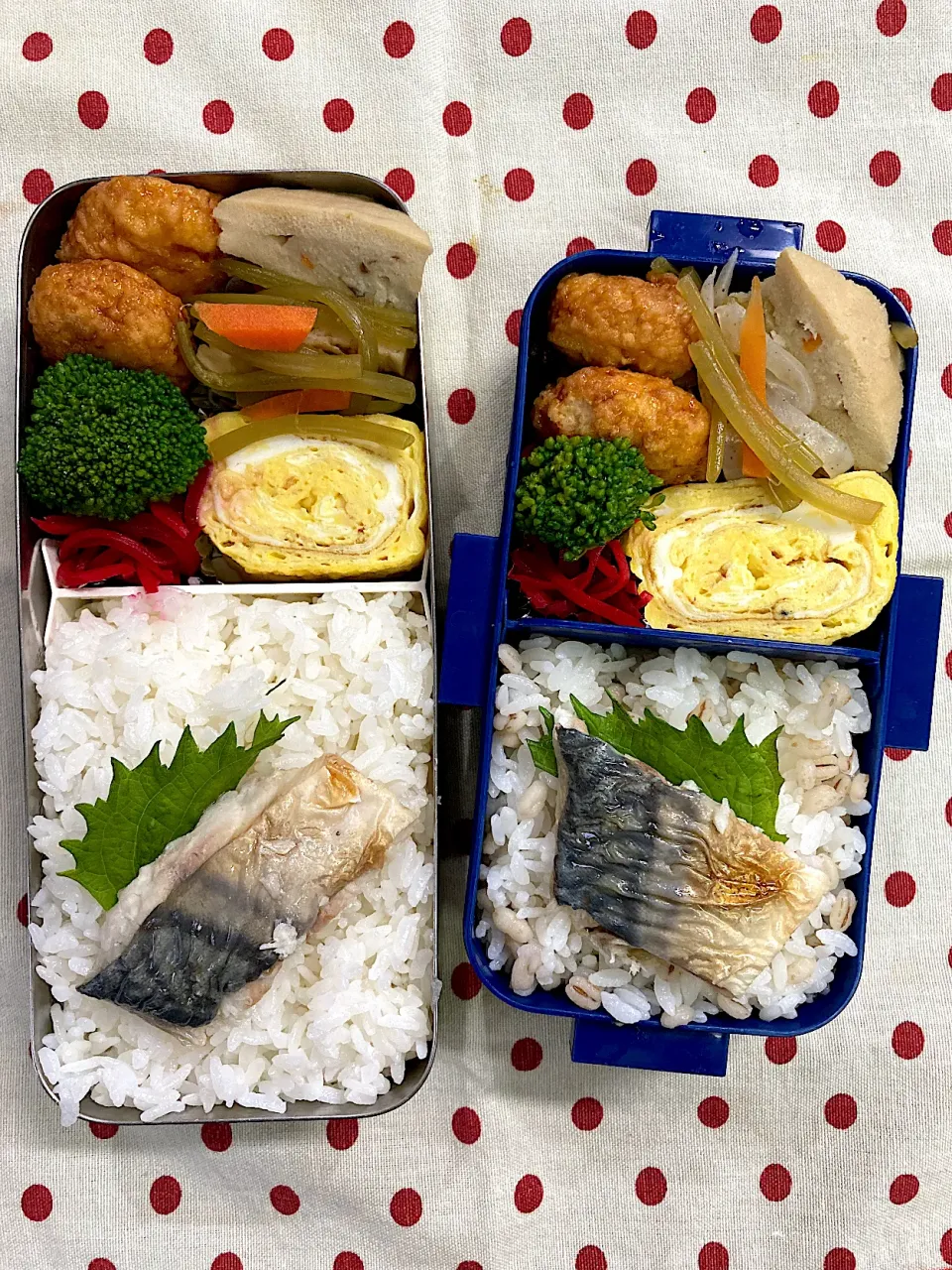 Snapdishの料理写真:9月17日　台風本日接近弁当🍱|sakuramochiさん