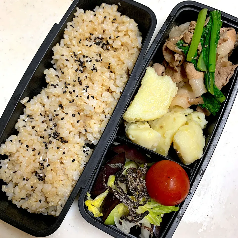 今日のお弁当|Victoryageさん