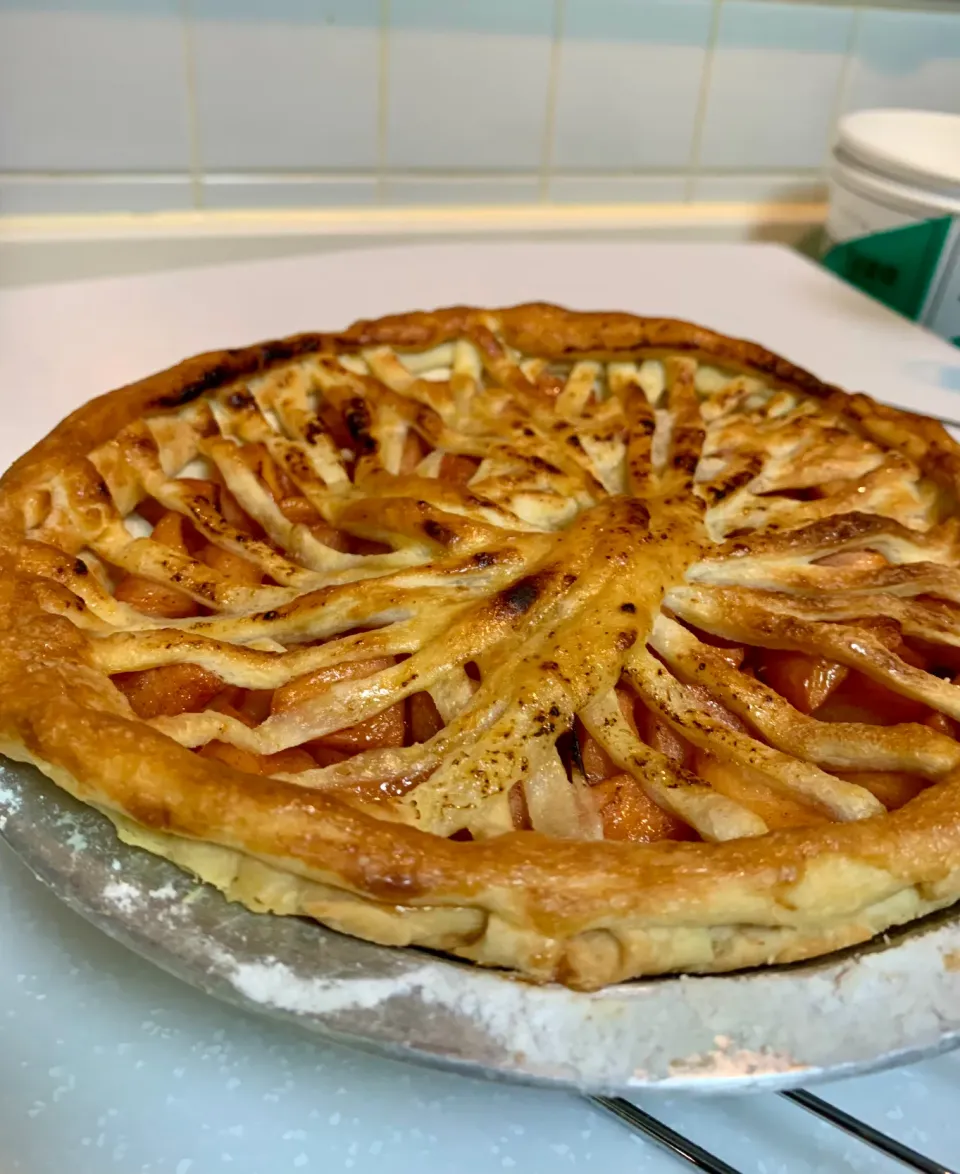 APPLE PIE  just out of the oven|gonbenさん