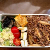 Snapdishの料理写真:お弁当|Lenalohaさん