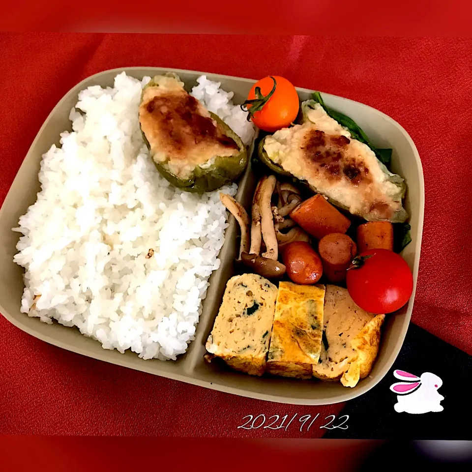 9/22ピーマンはんぺん詰め弁当|のりまきさん