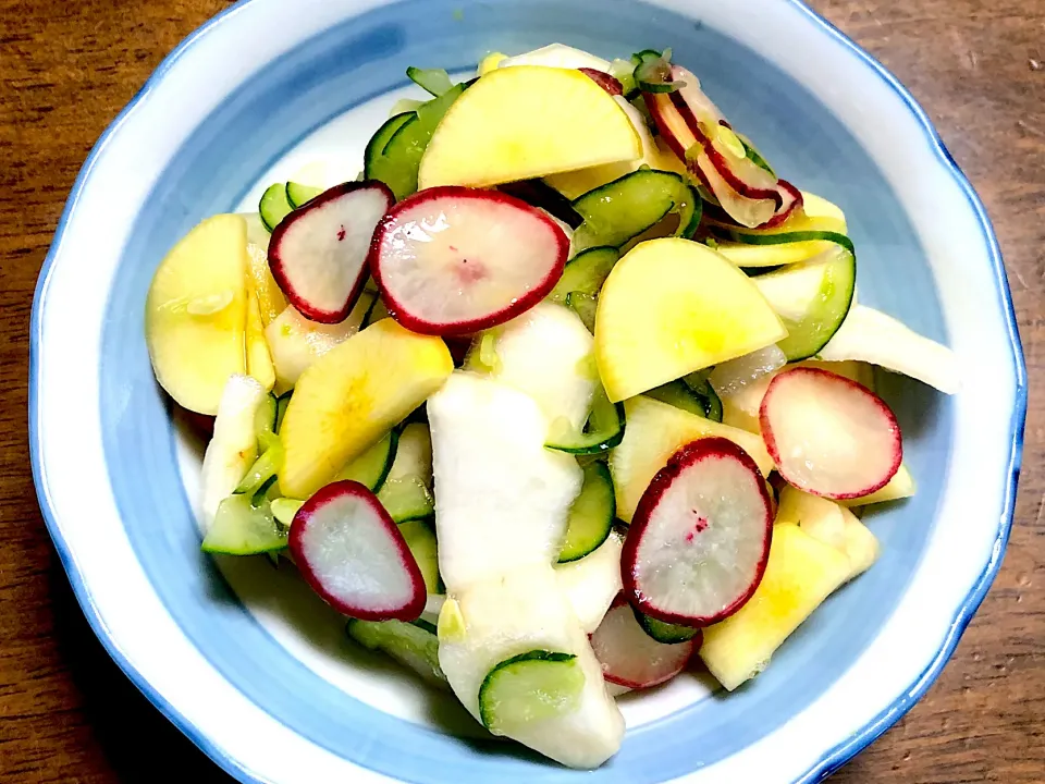 かぶ・ラディッシュ・きゅうり🥒の浅漬け|ひだまり農園さん