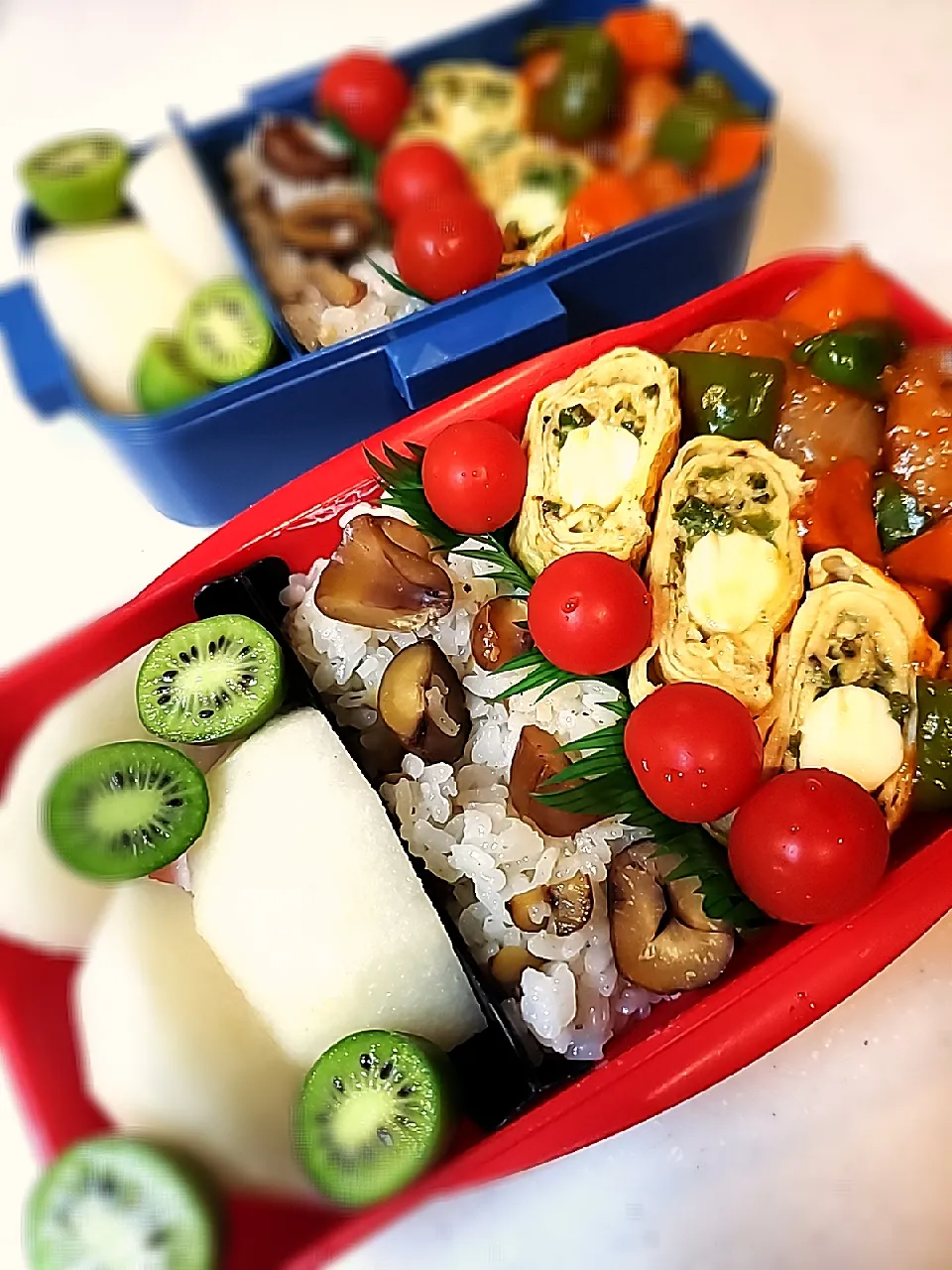 今日のお弁当|mikaさん