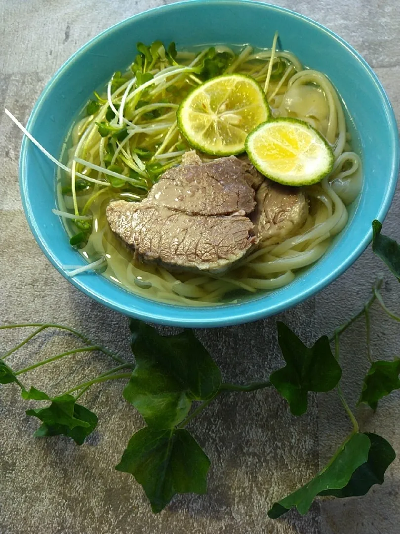 稲庭うどんで牛肉のフォー風|ハイドランジアさん