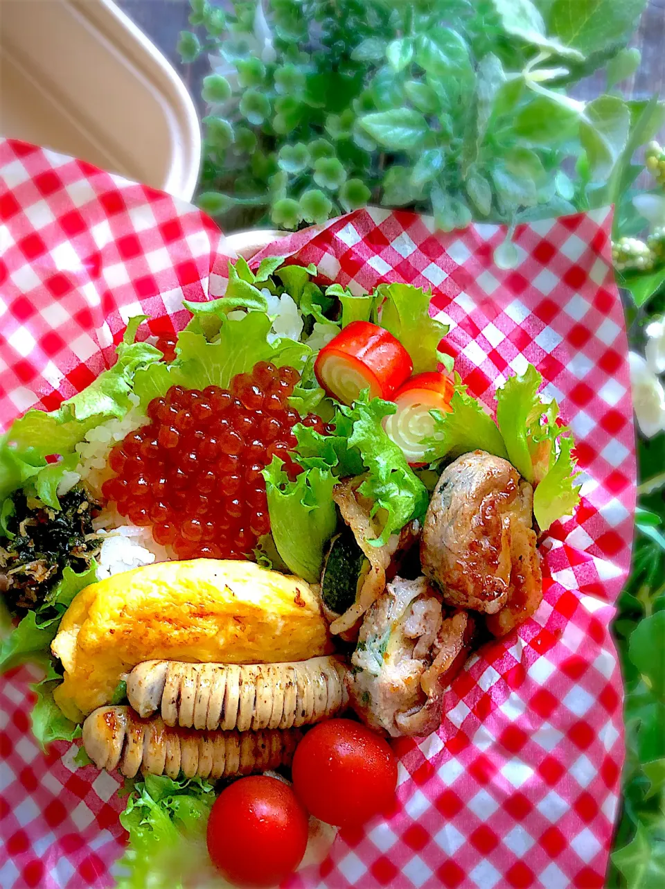 イクラの醤油漬けお弁当🍱|みゆきさん