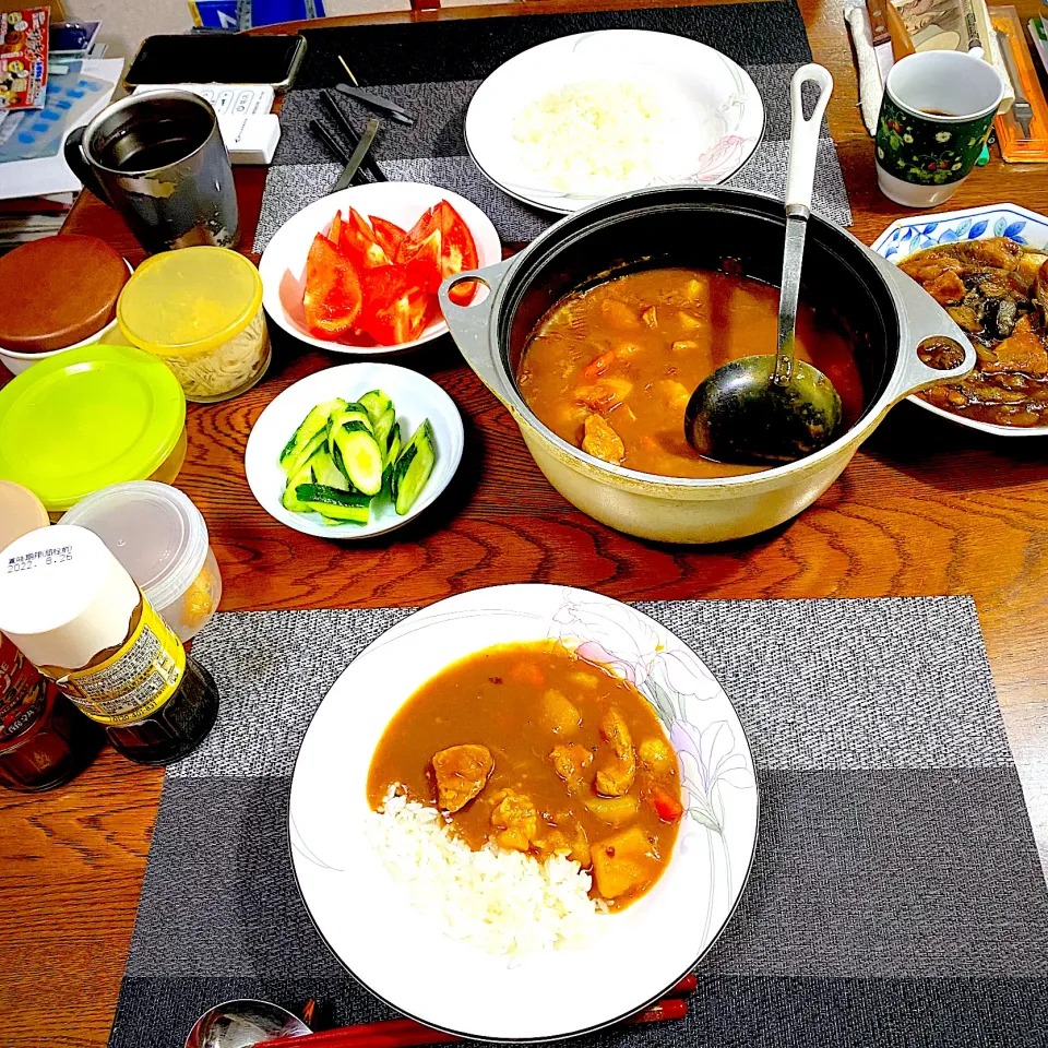 カレーライス、ナスと豚ヒレ肉の煮物、トマト、胡瓜、常備菜、漬物|yakinasuさん