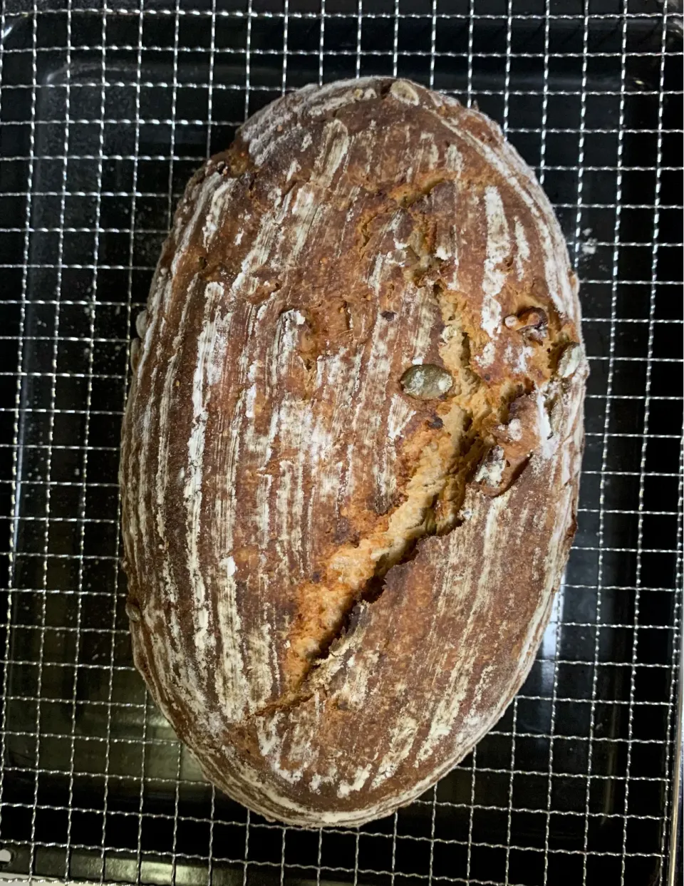 Multigrain Sourdough Wheat Bread with Fig, Walnut and Seeds|gonbenさん