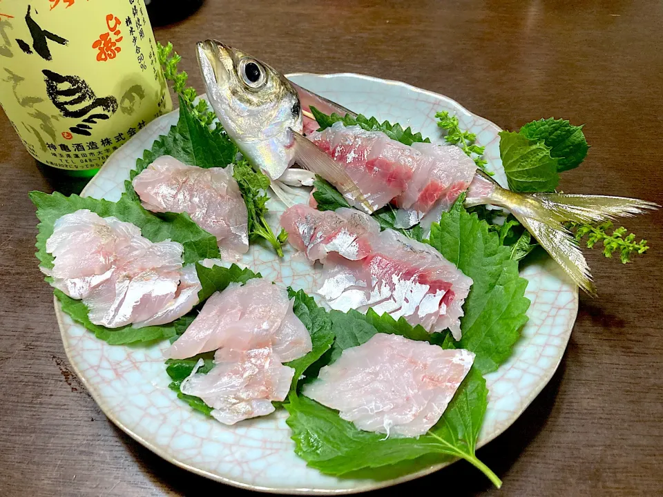 金沢八景に釣りに行きました。釣果は渋いが、魚は美味い|壱歩さん