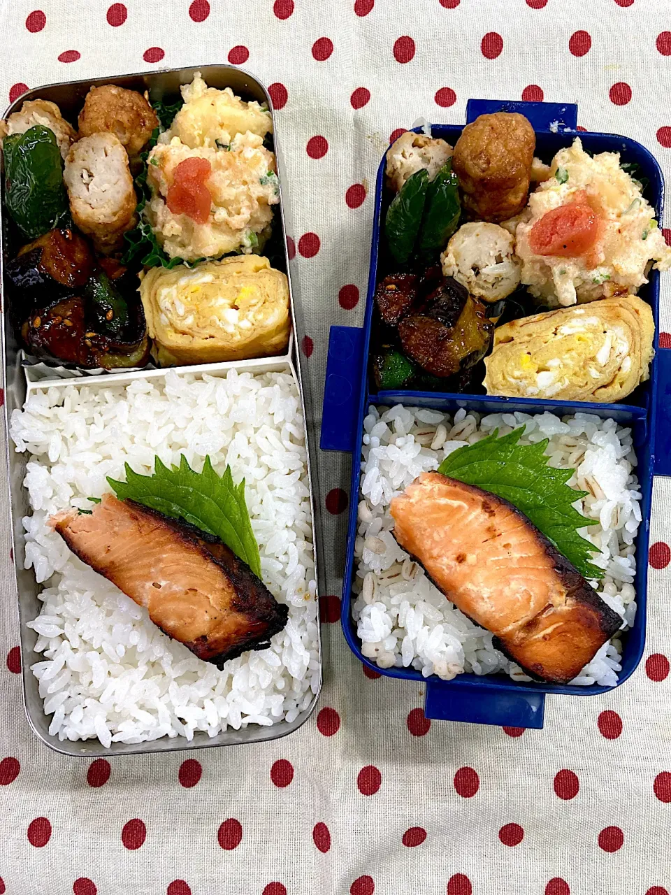 Snapdishの料理写真:9月28日　秋晴れ続き弁当🍱|sakuramochiさん