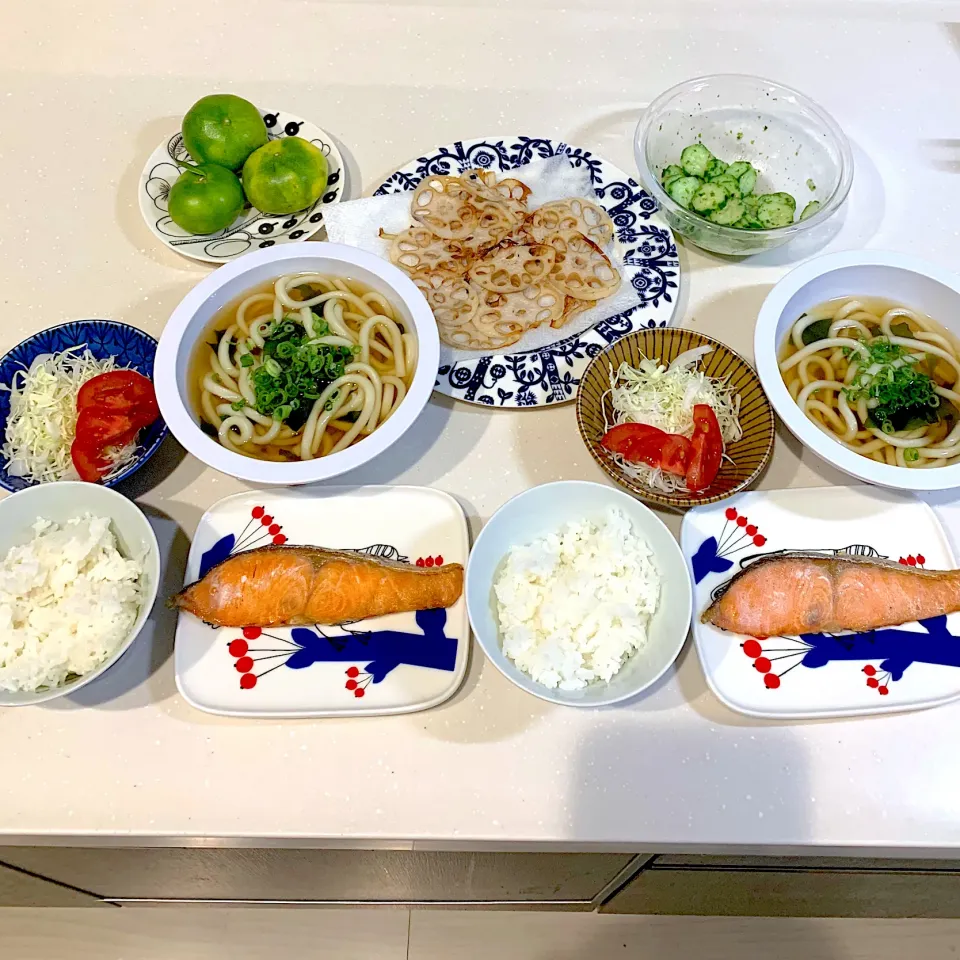 Snapdishの料理写真:夜ごはん☺︎白米、焼き鮭、サラダ、うどん、レンコンチップス、おつまみきゅうり、平岡農園　みかん|とまこ(*^o^*)さん