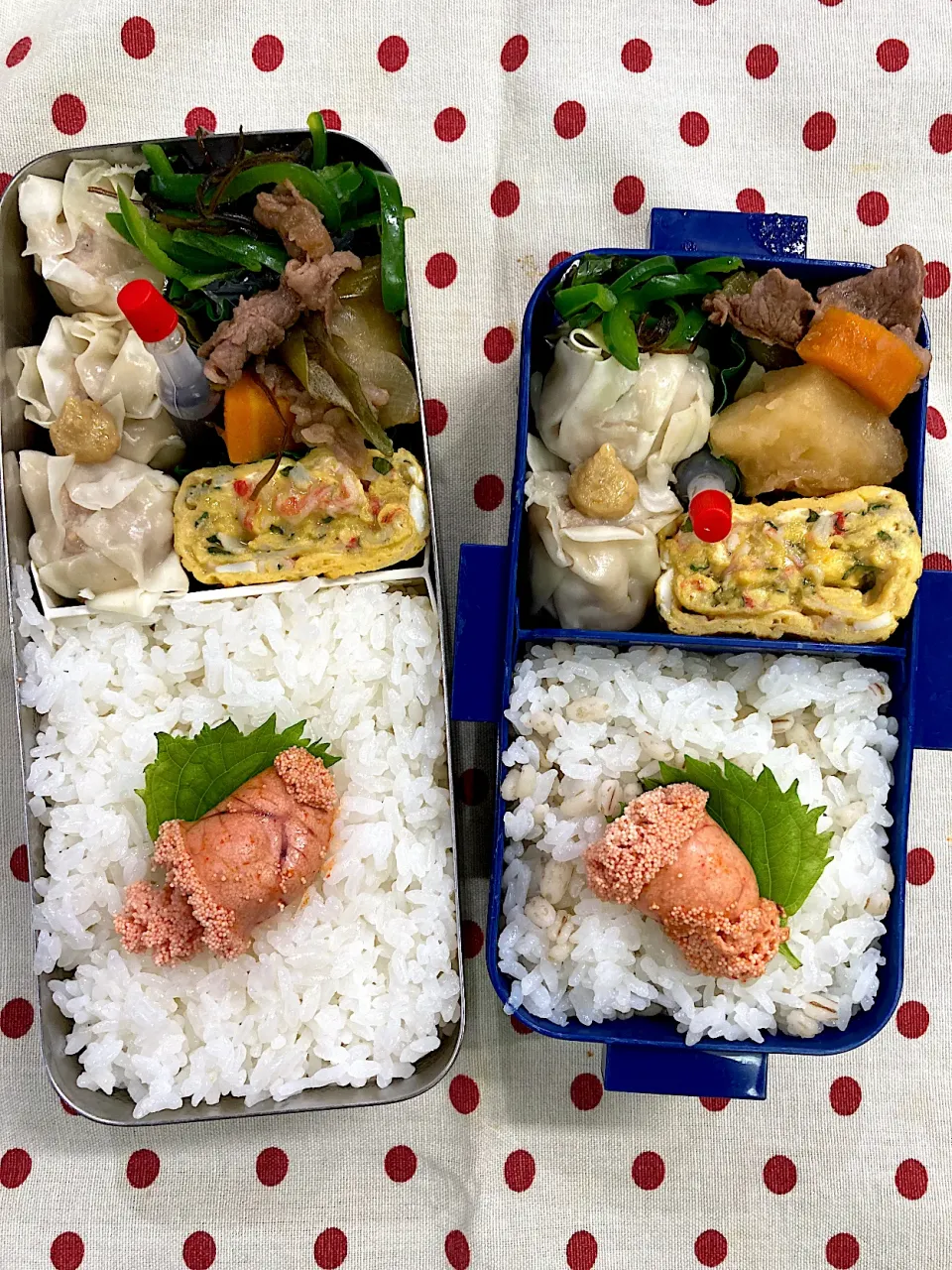 9月29日　月末弁当🍱|sakuramochiさん