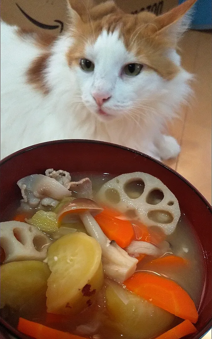 Snapdishの料理写真:🍠朝はサツマイモのお味噌汁🍚甘くて美味しいです。|さくらんぼさん