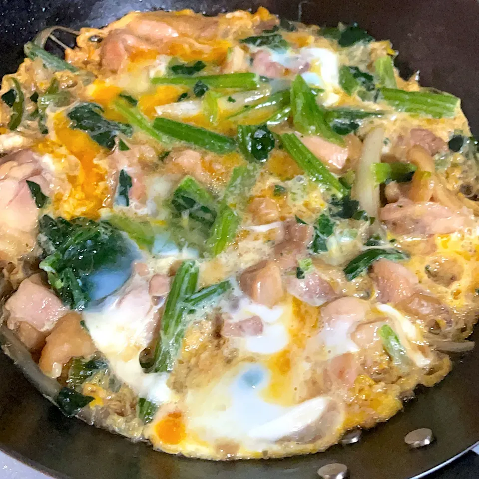 親子丼の具🐔🐣|gohan♡さん