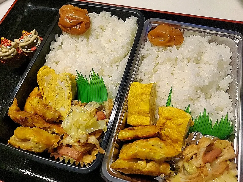 夫弁当、息子弁当|みどりさん