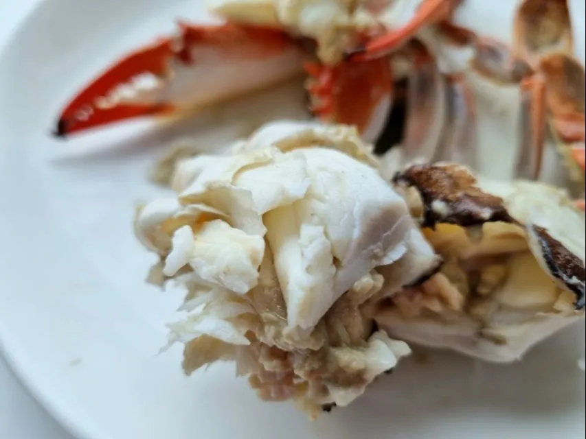 steamed Pacific blue crab|steven z.y.さん