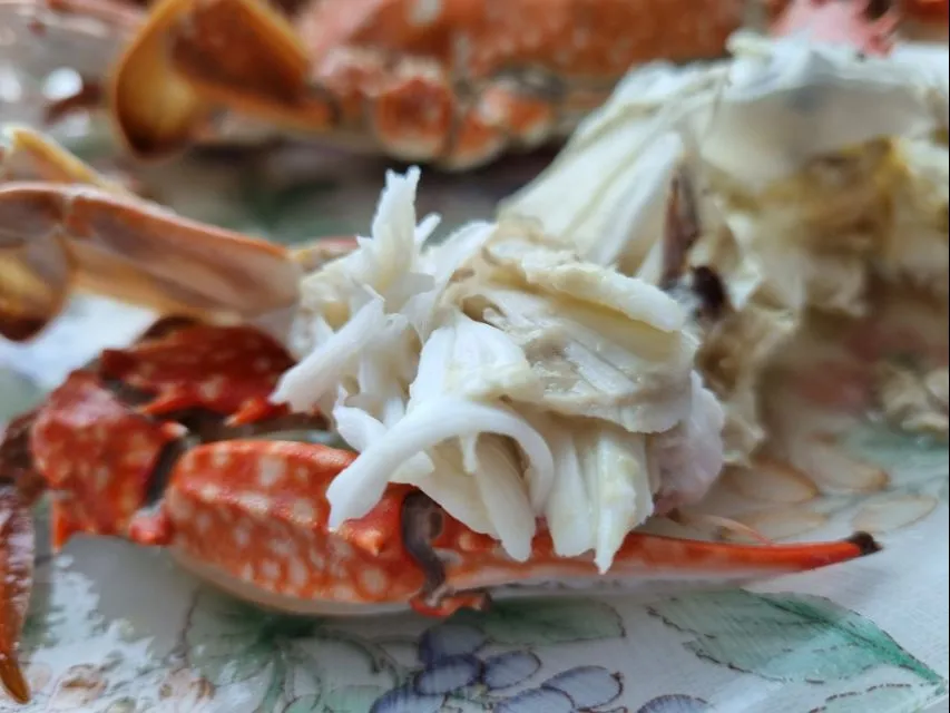 steamed Pacific blue crab|steven z.y.さん