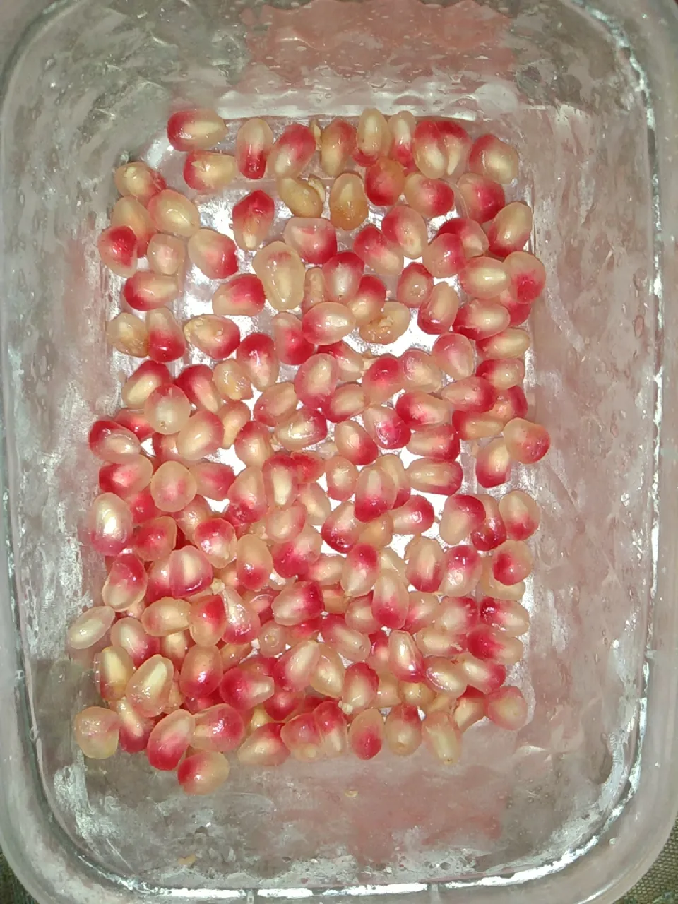 Pomegranate snack for my twins toddler|Qirana Anggun Adamさん