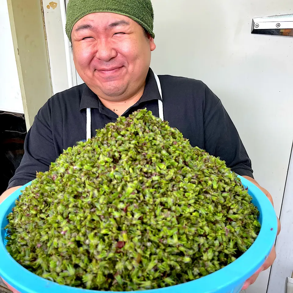 シソの実|Tatsuro Tadokoroさん