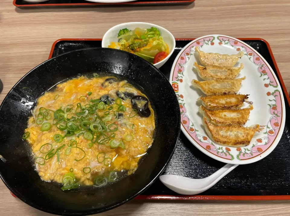 高知の王将　極セット　天津麺と餃子|コージ💫さん