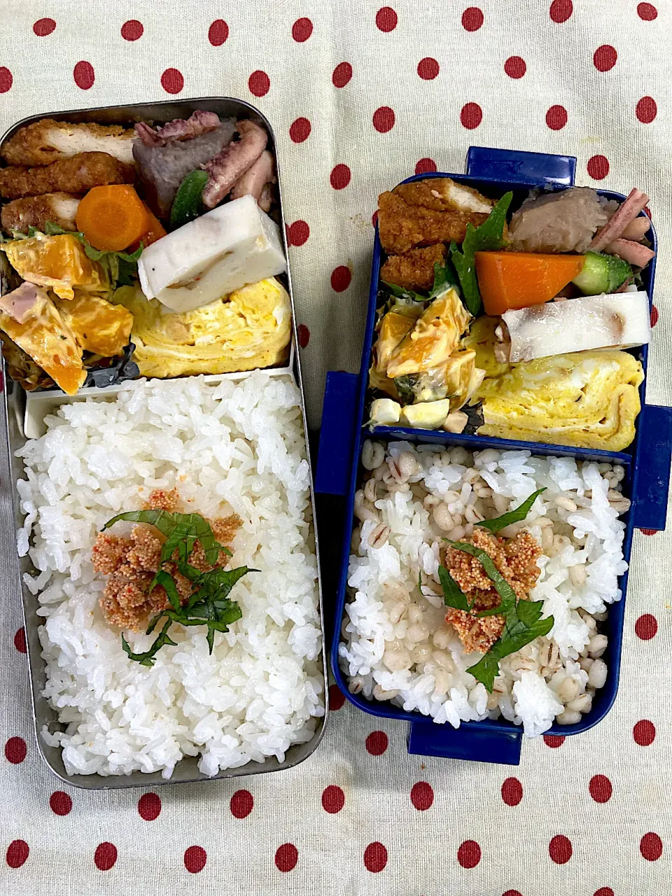 Snapdishの料理写真:10月4日　週の始まり弁当🍱|sakuramochiさん