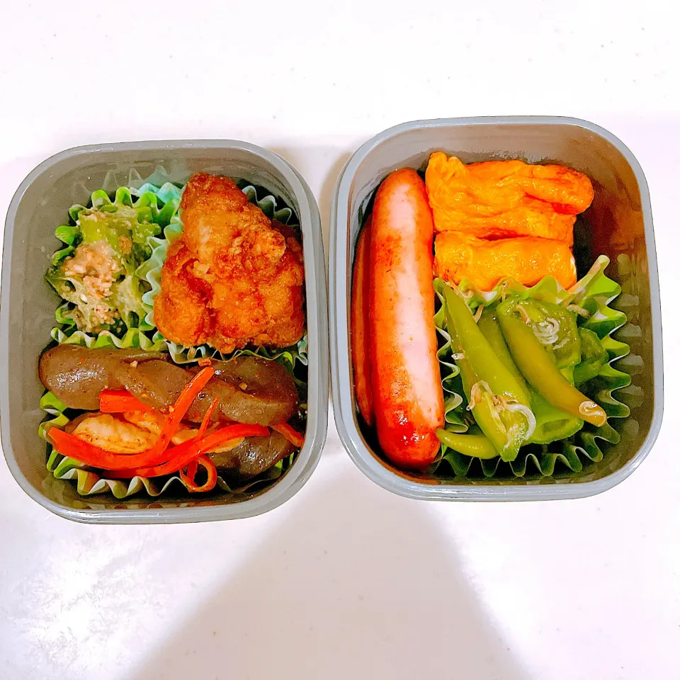 today's BENTO|DOBBYさん