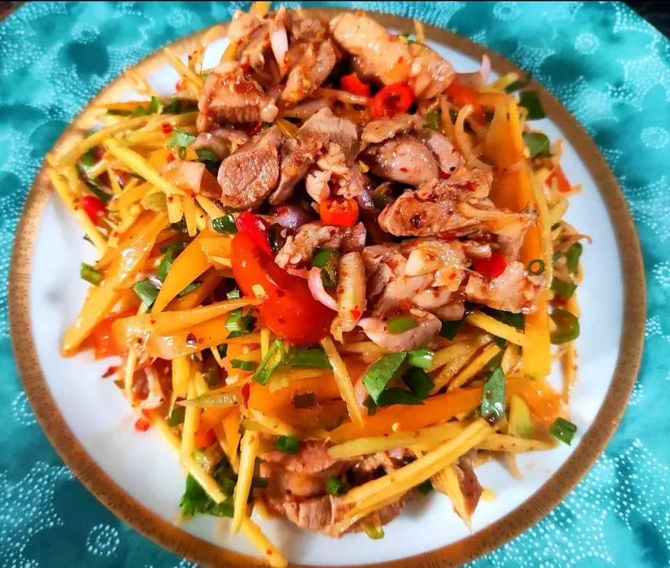 Chicken Mango Salad.|katang23さん