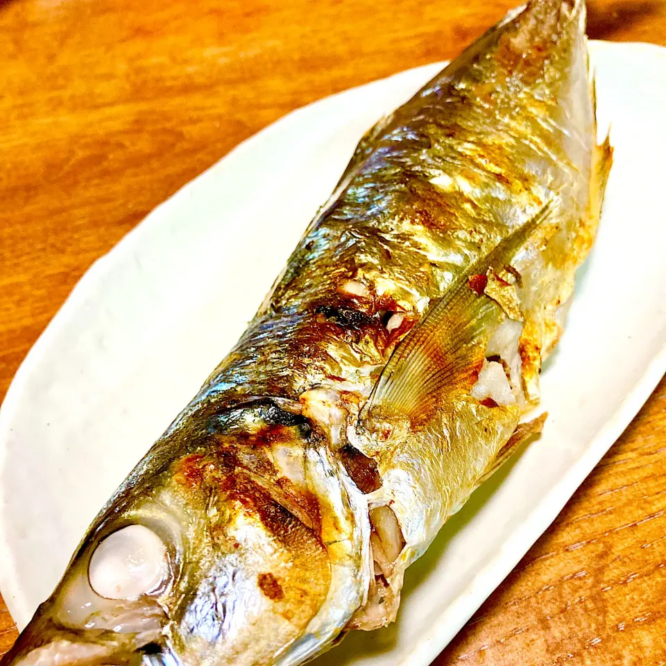 鳥取県産✨天然真鯵の塩焼き🍀脂乗って身もふわふわ〜💕|まいりさん