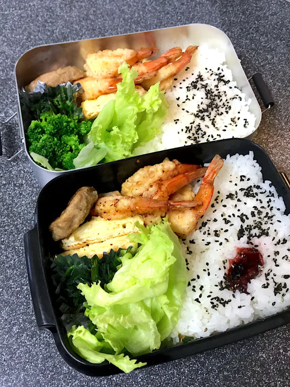 Snapdishの料理写真:今日のお弁当♪えび天|ミキのんさん