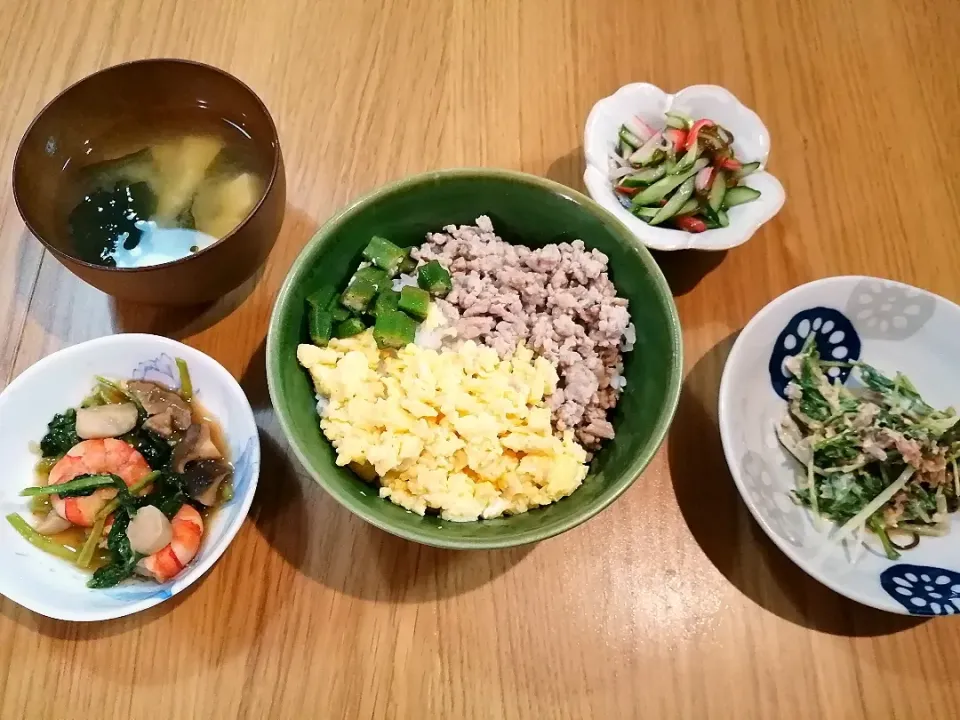 Snapdishの料理写真:そぼろ丼
海老と小松菜のオイスター炒め
水菜とツナの塩昆布サラダ
もずく和え
豆腐の味噌汁|りーちゃんさん