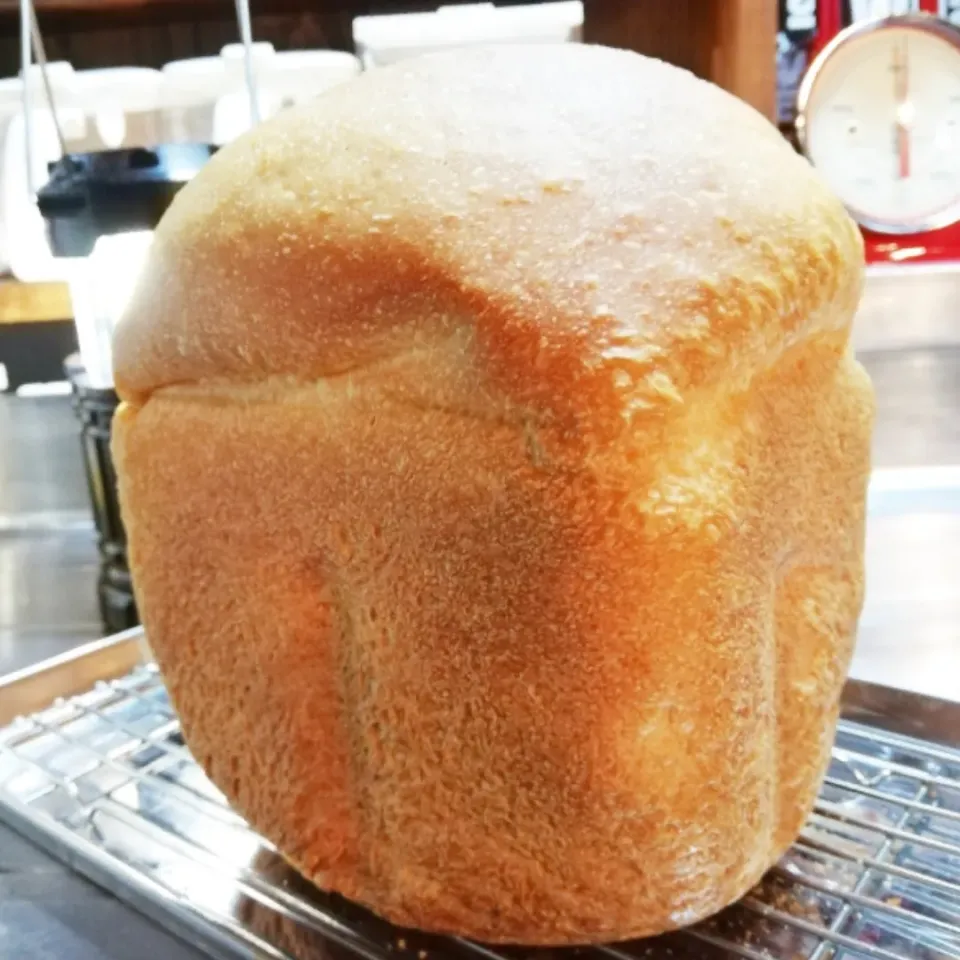 さっそくのリベンジ・ホームベーカリーで食パン🍞（10/6)|海猫さん