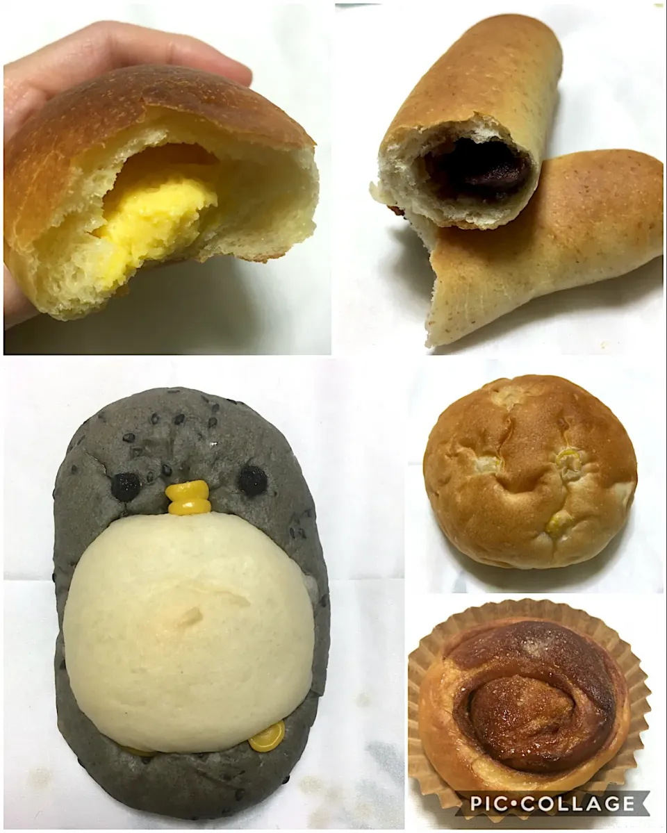 ごまペン、クリームパン、あんパン、コーンパン、シナモンロール|こいちさん