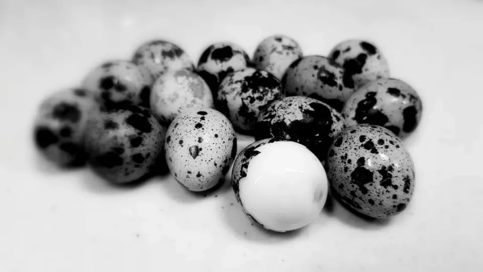 boiled quail eggs|steven z.y.さん