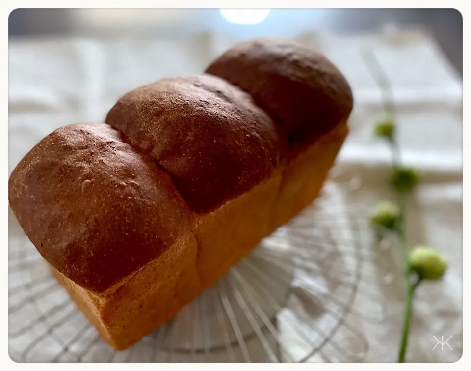 ホップ種 de 山食🍞|yucca@さん