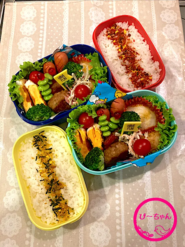 次女☆専門学生弁当😊220日目(実習9日目)長女☆大学生弁当😊実習最終日。|☆ぴ〜ちゃん☆さん