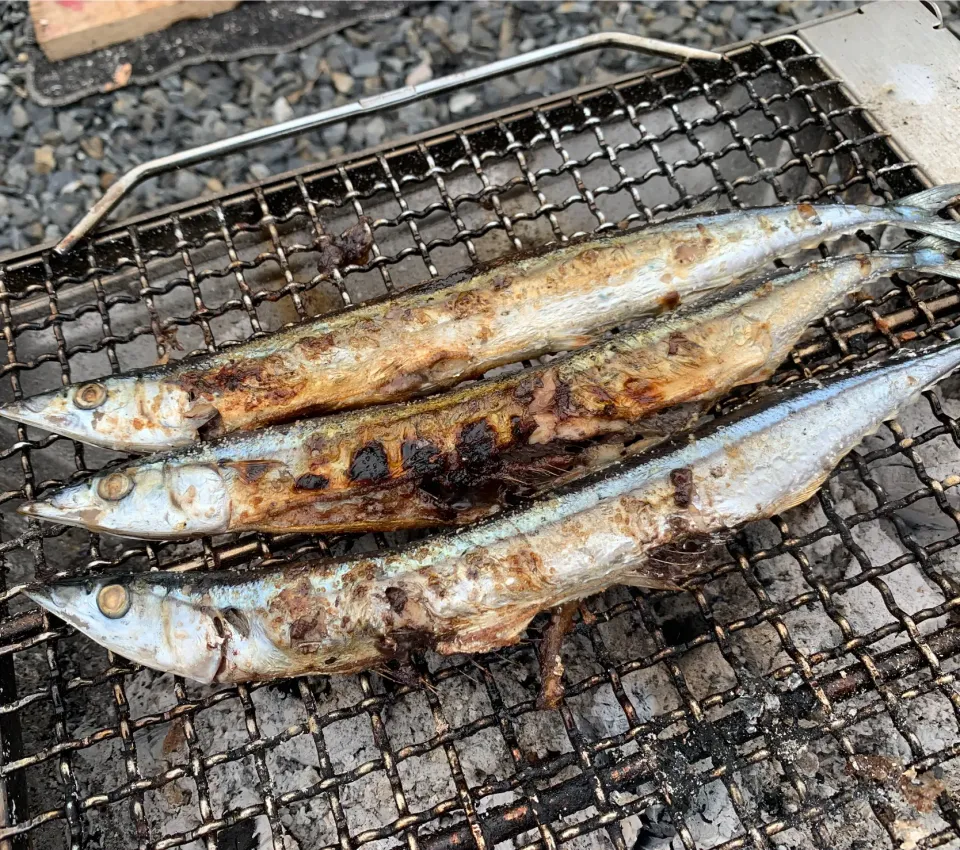 キャンプ飯⛺️秋刀魚|とももさん