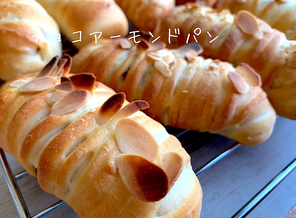 チョコアーモンドパン🥖リスドォルdeウールロールパン|いちごさん