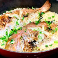 鯛めし🐟|ちょこぷりんさん