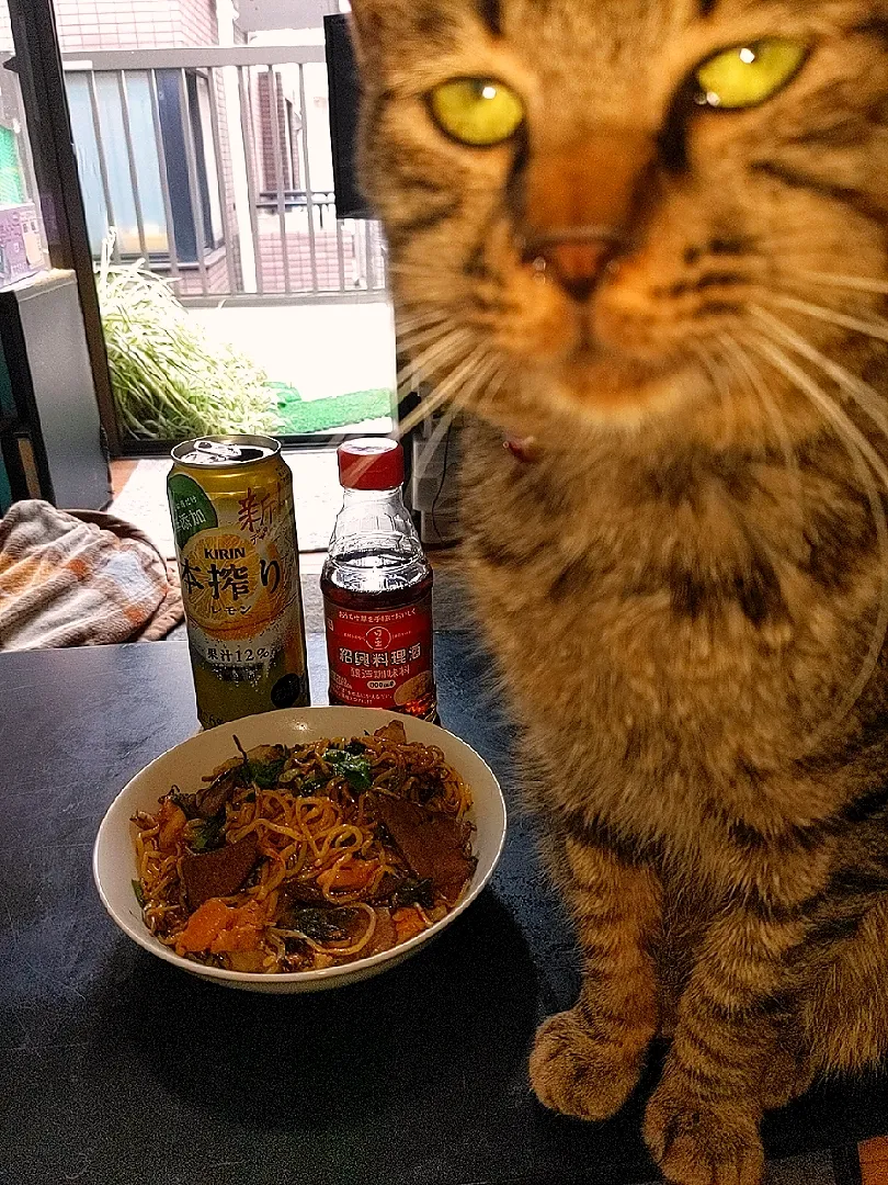 夜勤明け日本酒の代わりに全て紹興酒で作ったレバニラ焼きそば|Tarou  Masayukiさん