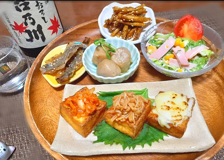 ヘルシーワンプレートおつまみ🎶

　厚揚げ三種のせ
　里芋煮
　牛蒡うまかばい
　ハムサラダ
　シシャモみりん|びせんさん