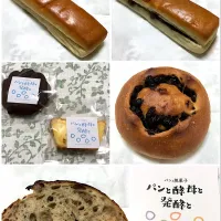 Snapdishの料理写真:手作りミルククリームプレミアム、あんバタープレミアム、ミルクチョコパン、長期熟成酵母のフルーツライ、マドレーヌ ショコラ、駿河エレガントパウンド @パンと酵母と発酵と